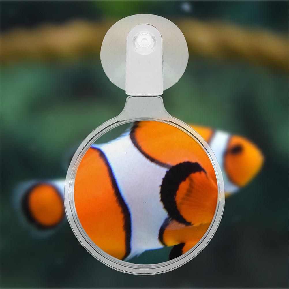 Terrarium Glass Bottle - 2 шт. увеличительные лупы для аквариума