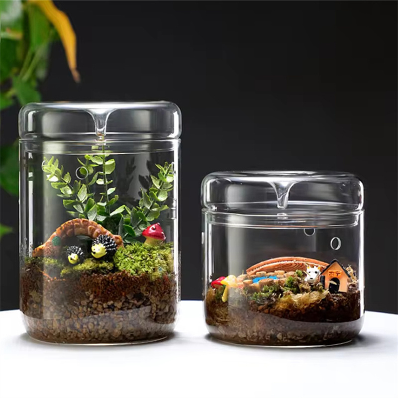 Terrarium Glass Bottle - Стеклянные бутылки для творчества, коллекция росов,