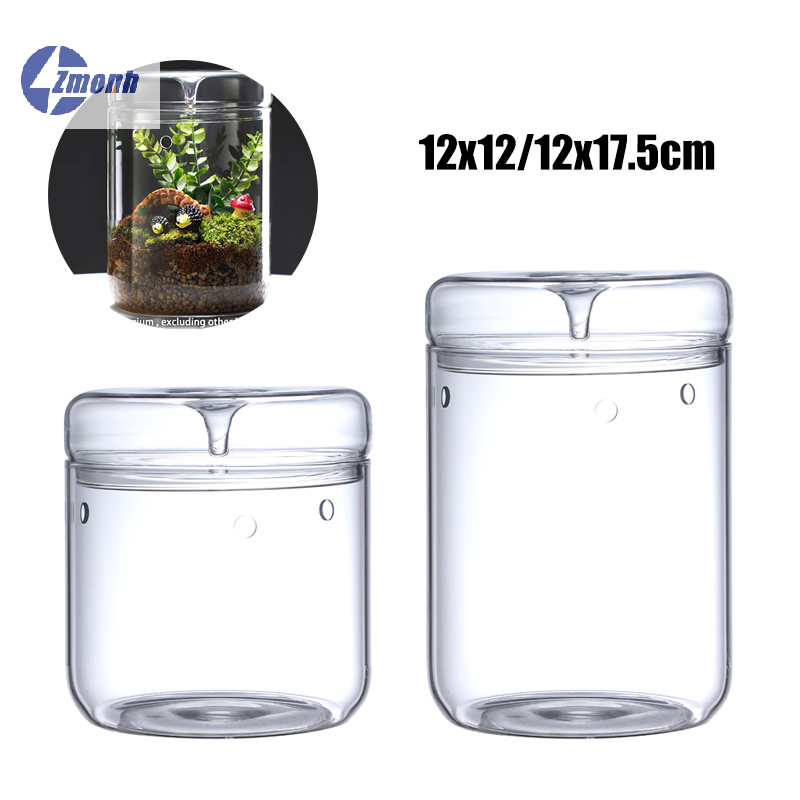 Terrarium Glass Bottle - Новинка! Стеклянная бутылка для микроландшафта, креативная