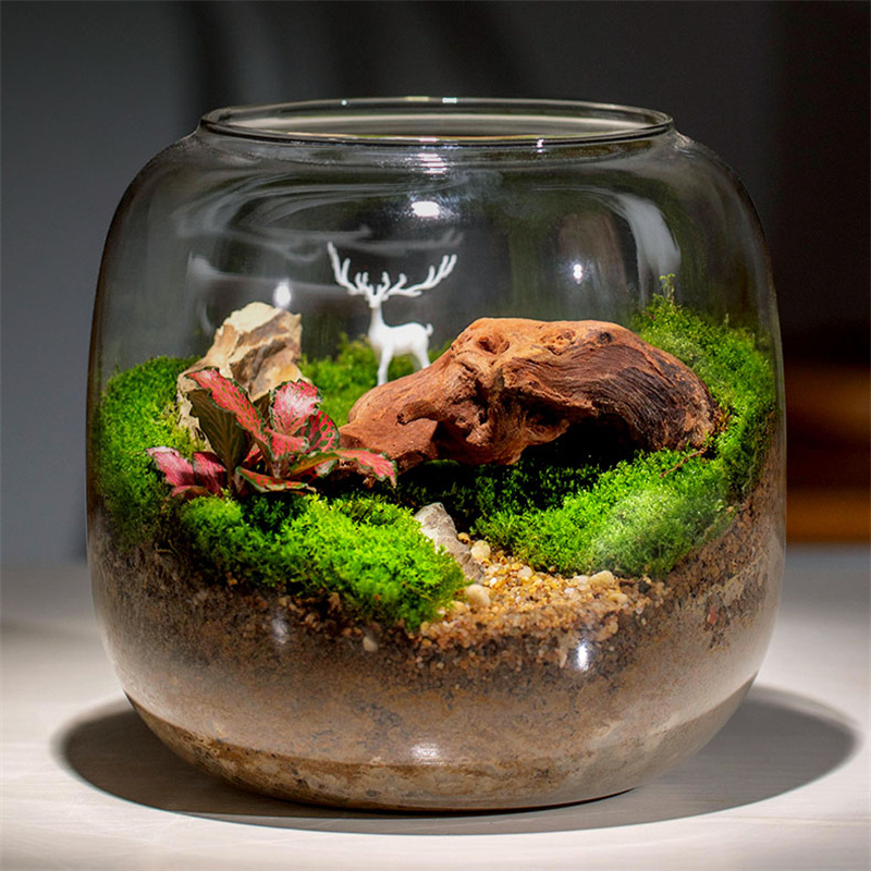 Микро Пейзаж Мох Стеклянная Бу – обзор и цена Terrarium Glass Bottle