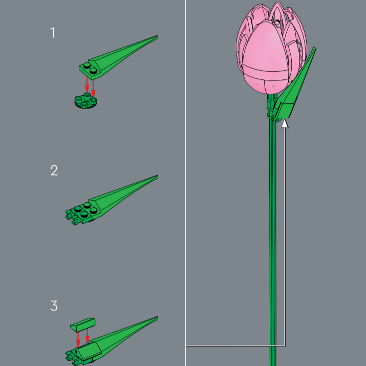 Новый ботанический букет тюльп – обзор и цена Home Decor Tulip