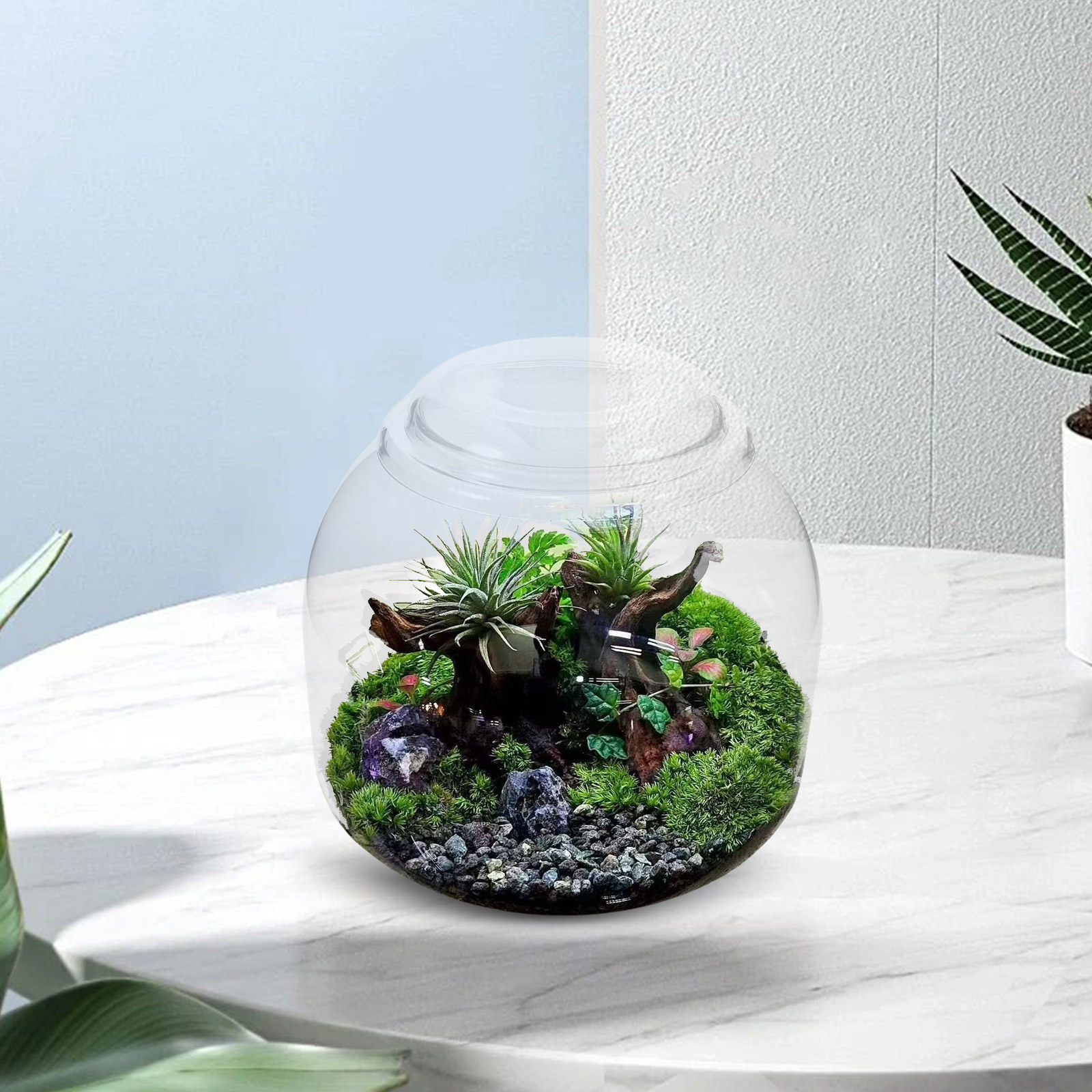 Стеклянная банка-террариум с к – обзор и цена Terrarium Glass Bottle