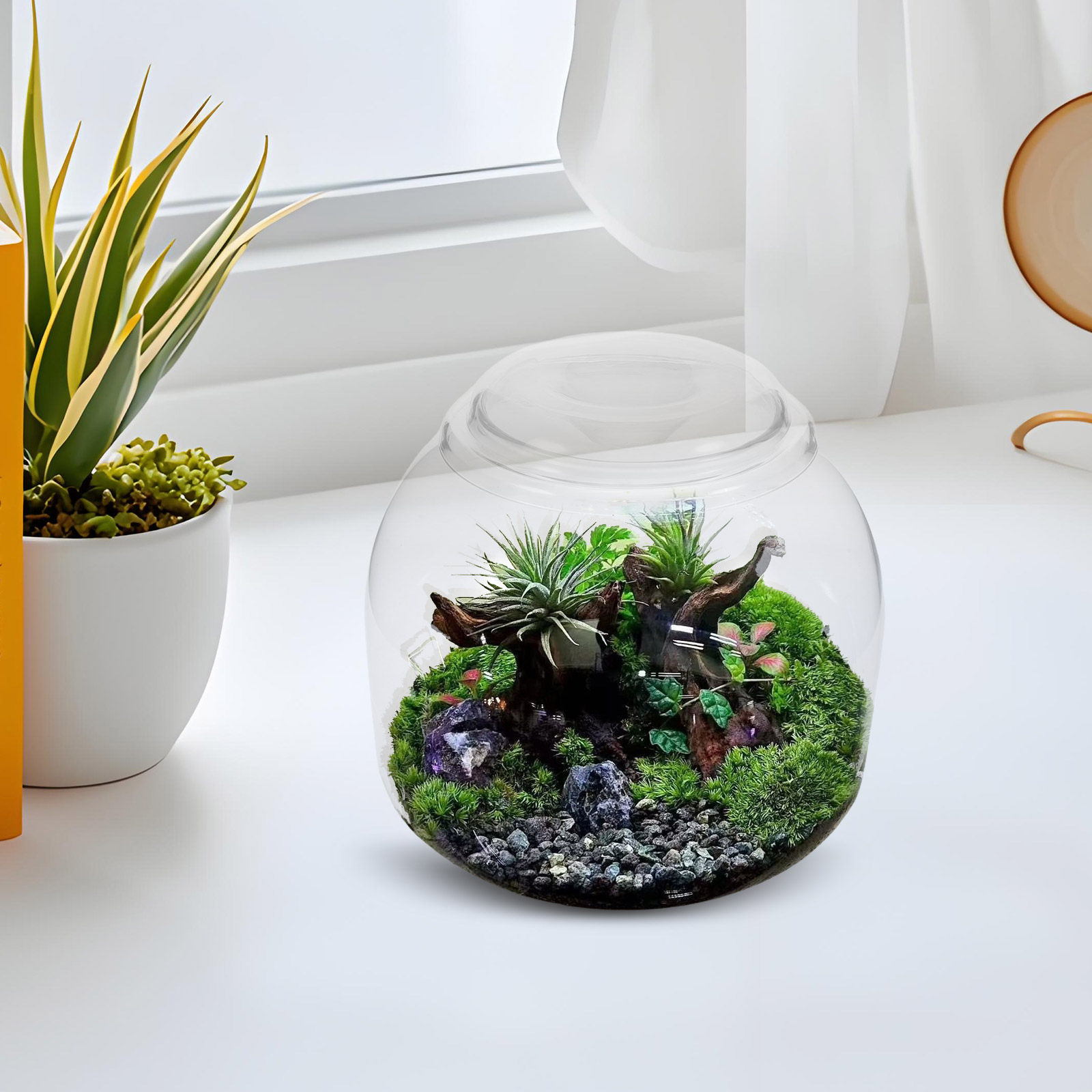 Стеклянная банка-террариум с к – обзор и цена Terrarium Glass Bottle