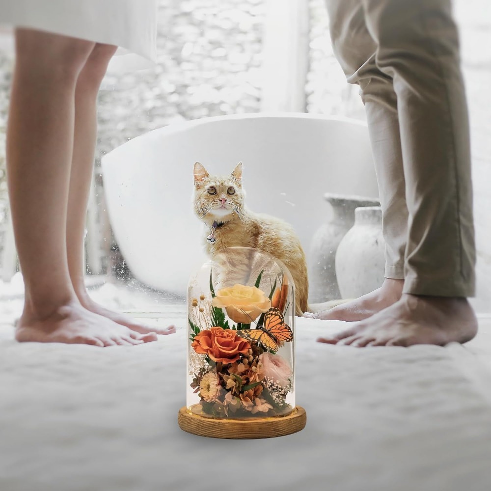 Элегантные стабилизированные ц – обзор и цена Home Decor Tulip