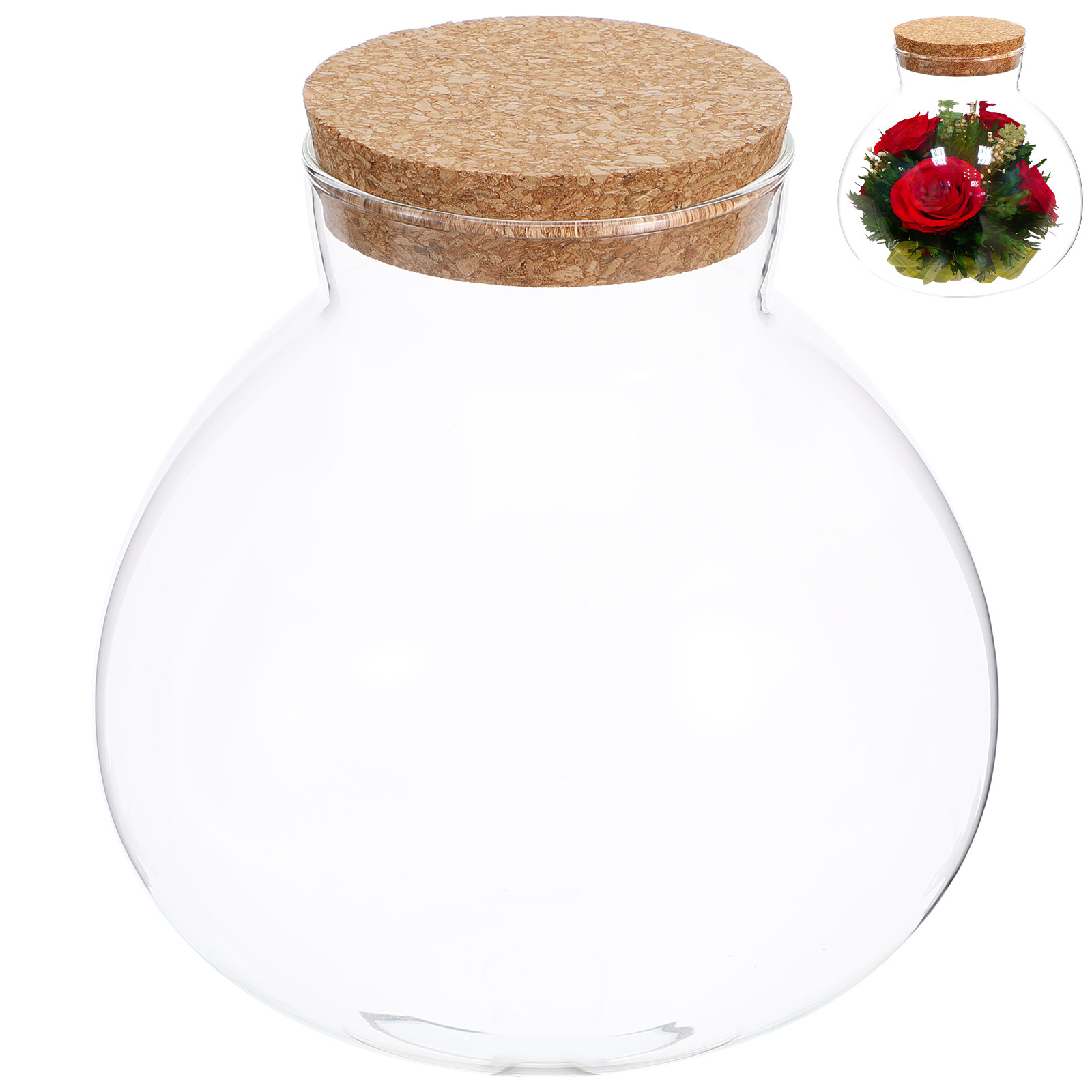 Стеклянный террариум-бутылка 1 – обзор и цена Terrarium Glass Bottle