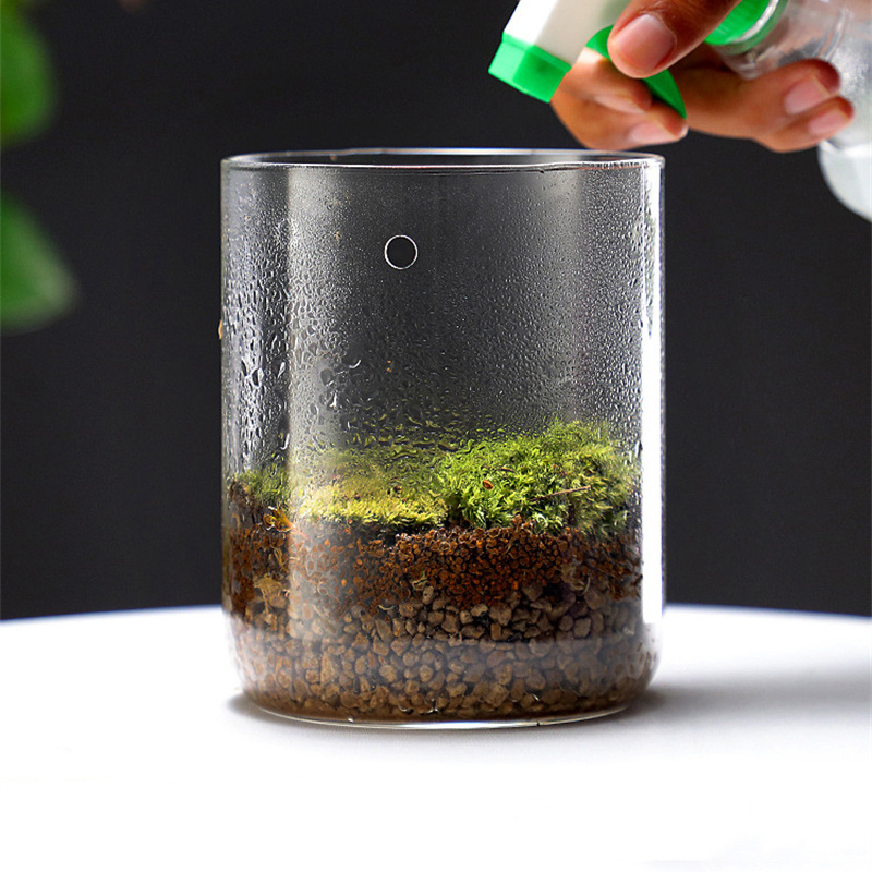 Стеклянные бутылки для творчес – обзор и цена Terrarium Glass Bottle