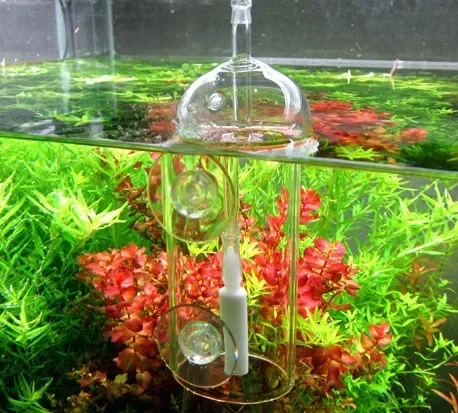 VIV Do устройство аквариумный  – обзор и цена Terrarium Glass Bottle