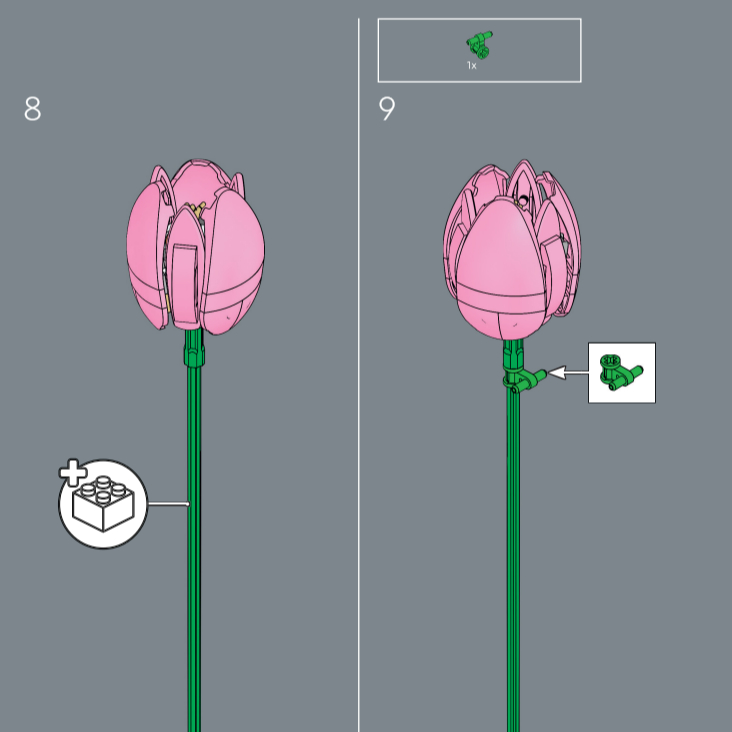 Новый ботанический букет тюльп – обзор и цена Home Decor Tulip