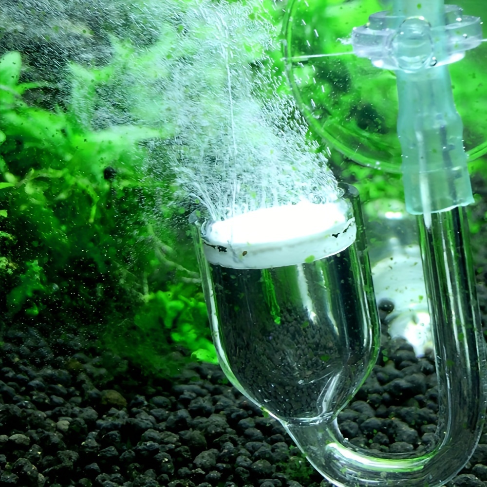 Аквариумный стеклянный распыли – обзор и цена Terrarium Glass Bottle