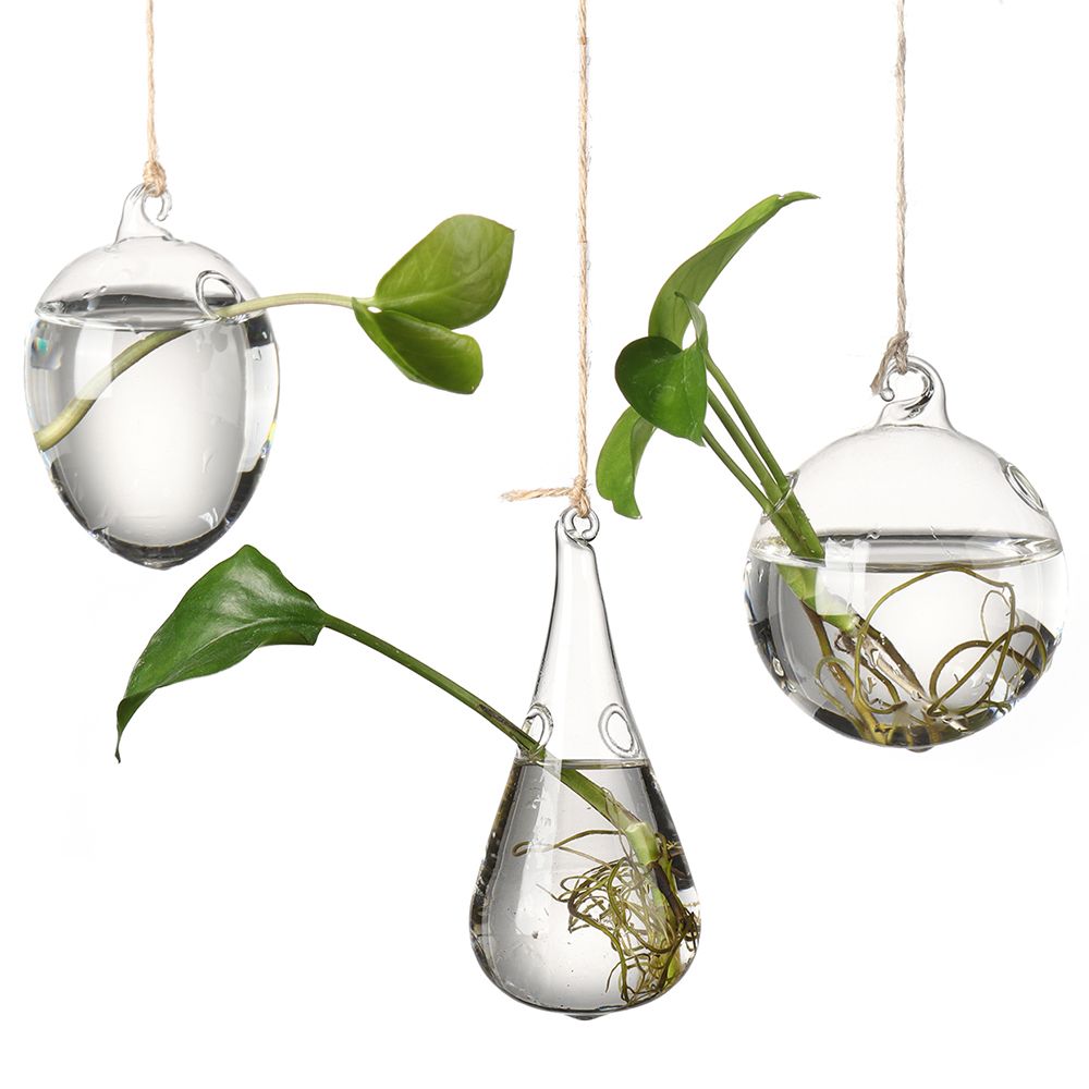 Креативная подвесная стеклянна – обзор и цена Terrarium Glass Bottle