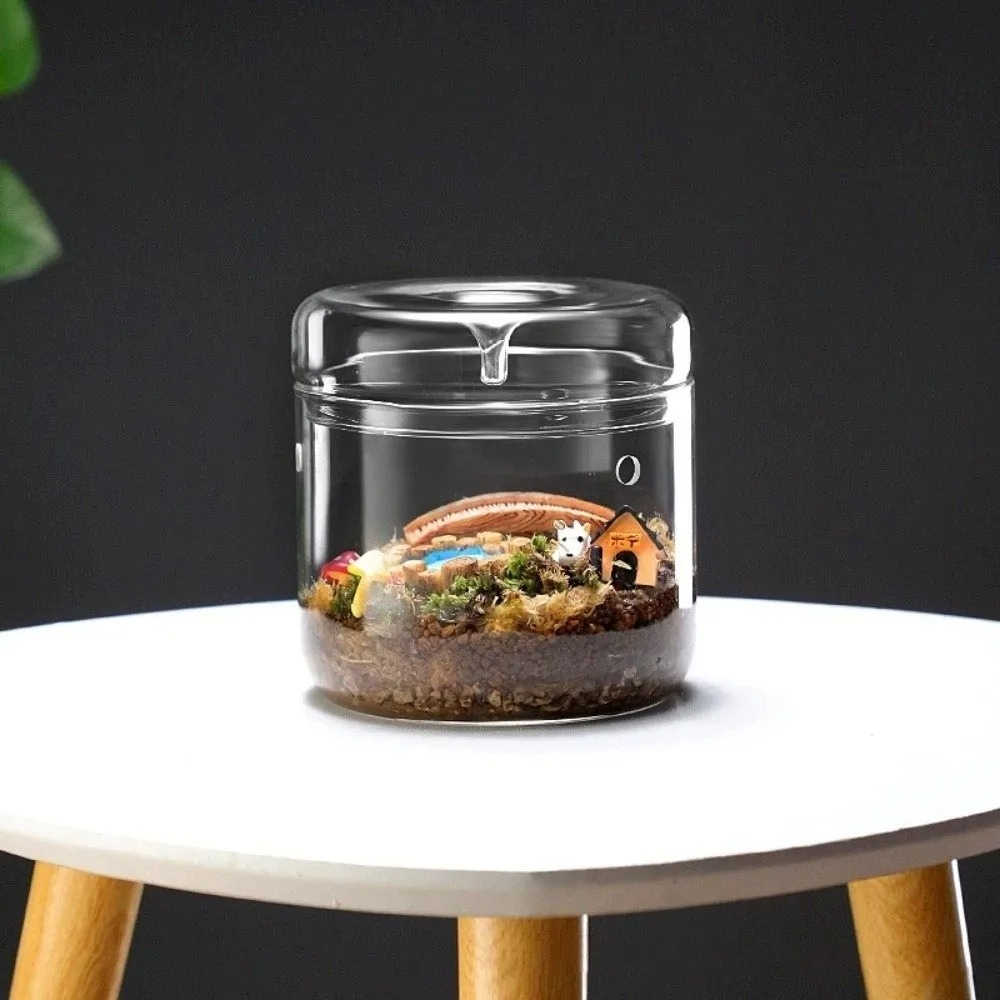 Микроландшафтная стеклянная ва – обзор и цена Terrarium Glass Bottle
