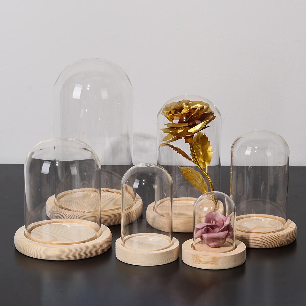 Стеклянная крышка-«колокол», п – обзор и цена Terrarium Glass Bottle