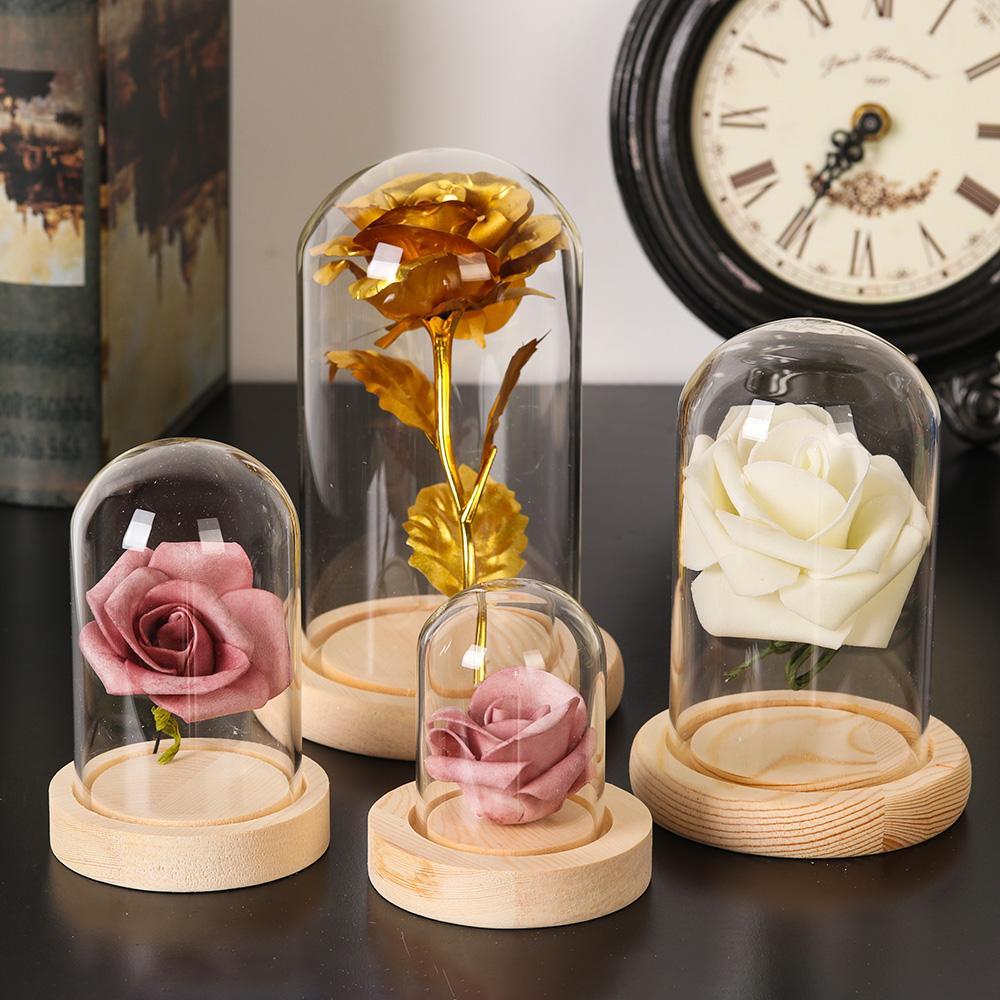 Стеклянная крышка-«колокол», п – обзор и цена Terrarium Glass Bottle