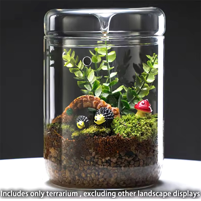 Стеклянные бутылки для творчес – обзор и цена Terrarium Glass Bottle