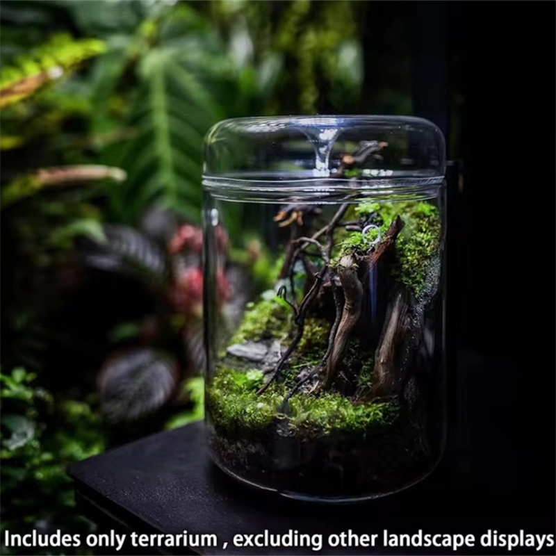 Стеклянные бутылки для творчес – обзор и цена Terrarium Glass Bottle