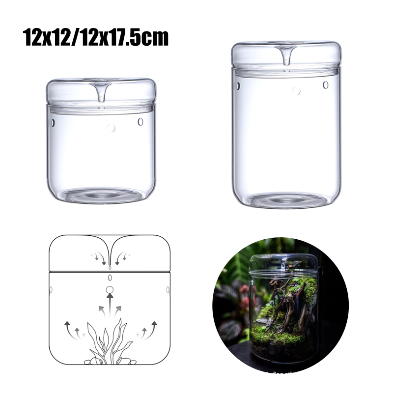 Новинка! Стеклянная бутылка дл – обзор и цена Terrarium Glass Bottle